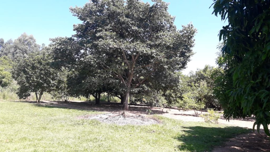 JARDIM SÃO PAULO (ALAMBARÍ/SP). JARDIM SÃO PAULO (ALAMBARÍ/SP).