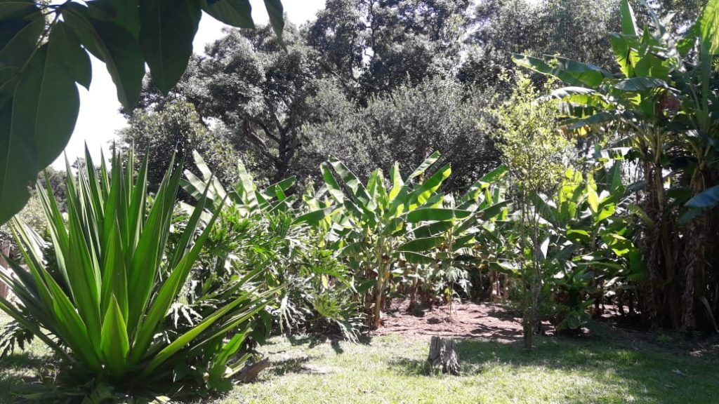 JARDIM SÃO PAULO (ALAMBARÍ/SP). JARDIM SÃO PAULO (ALAMBARÍ/SP).