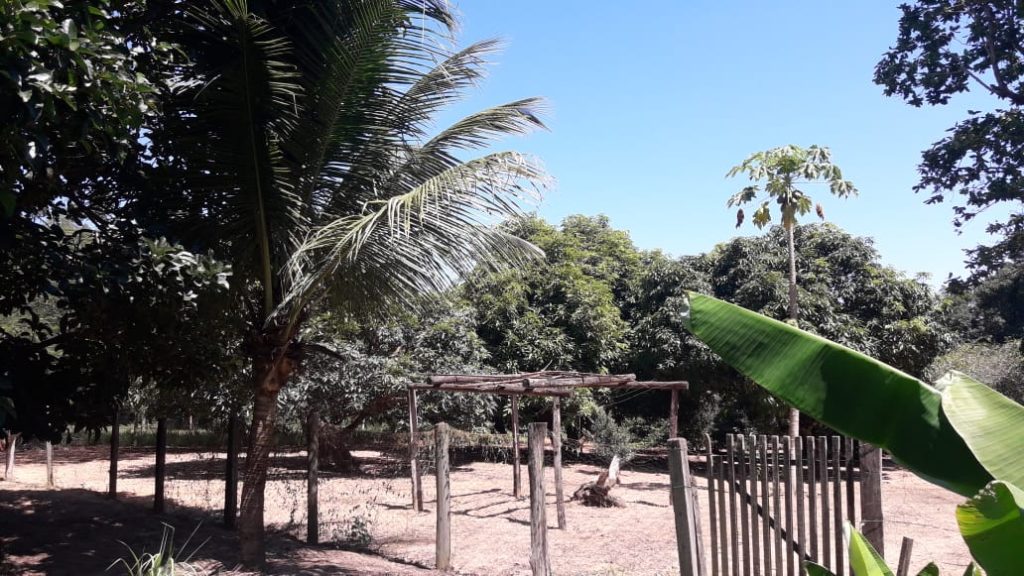 JARDIM SÃO PAULO (ALAMBARÍ/SP). JARDIM SÃO PAULO (ALAMBARÍ/SP).