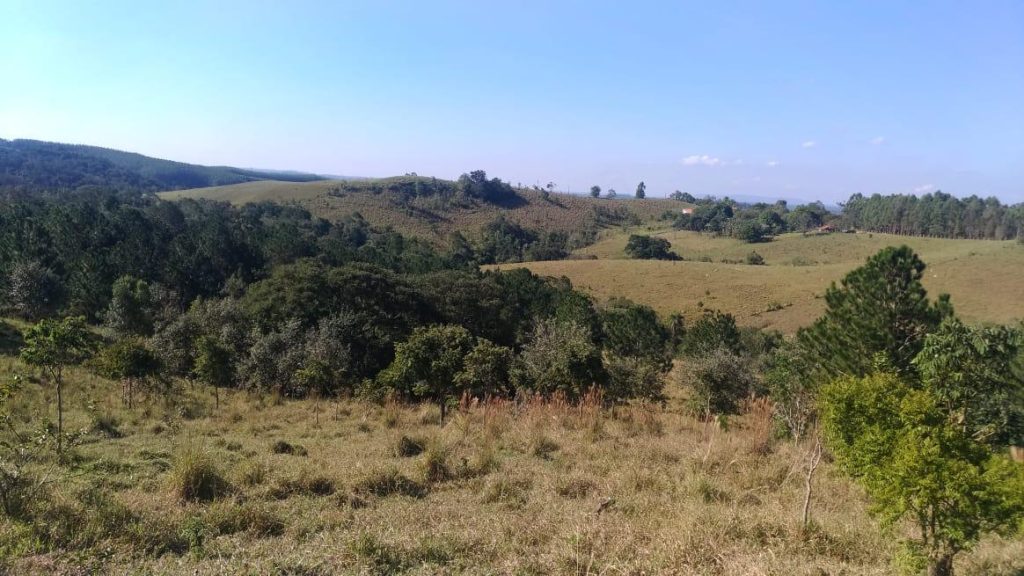 CHAPADA GRANDE