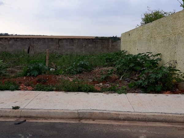 JARDIM NOVO AEROPORTO