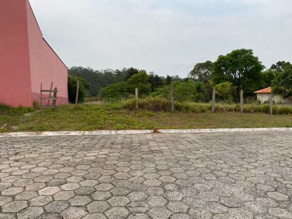 LUAR DO SERTÃO/ALAMBARI