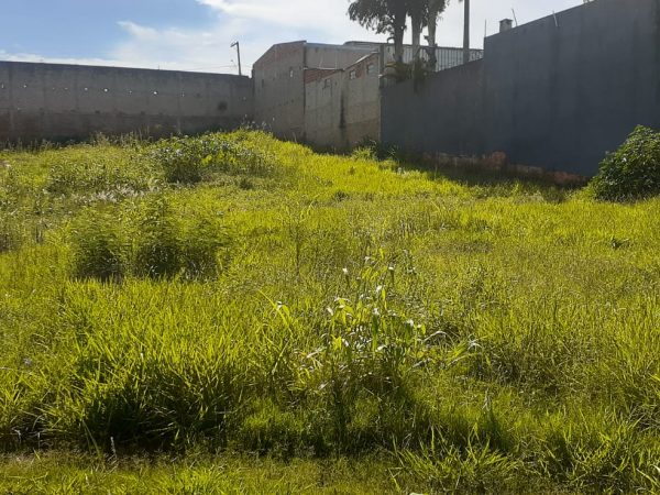 VILA NASTRI 2