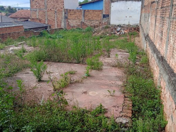 CENTRAL PARQUE 4L