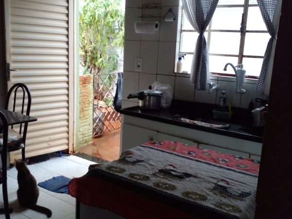JARDIM BRASIL