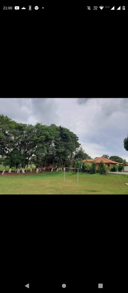 CERRADO CERRADO