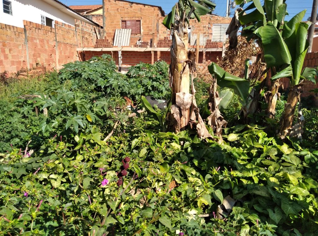VILA NASTRI