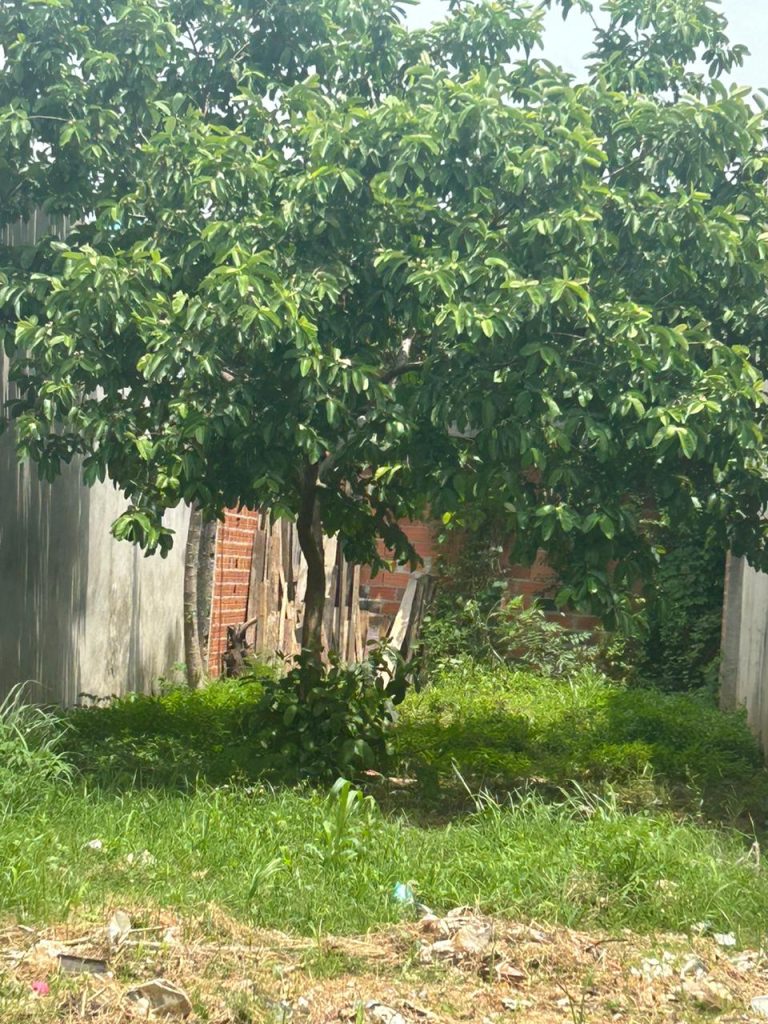 PARQUE MANCHESTER/ SOROCABA PARQUE MANCHESTER/ SOROCABA