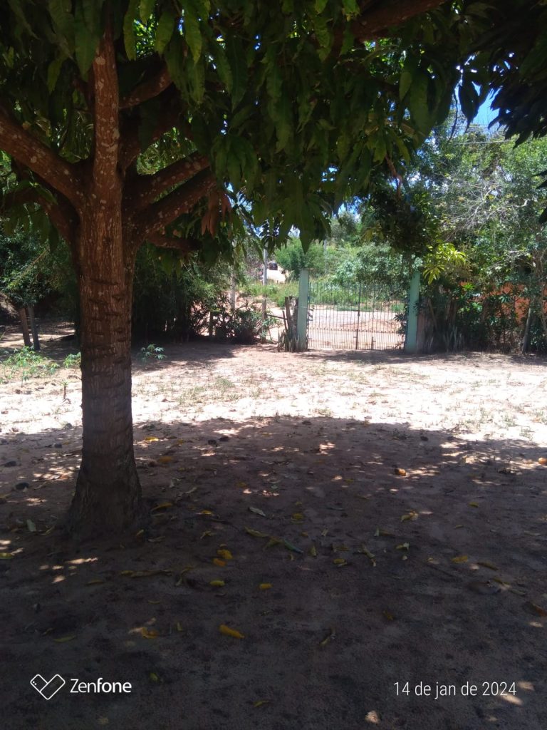 CERRADO CERRADO