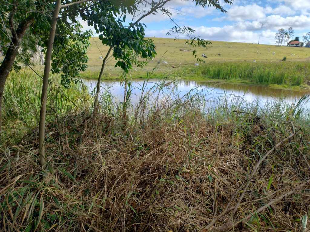 LAGOA VERMELHA