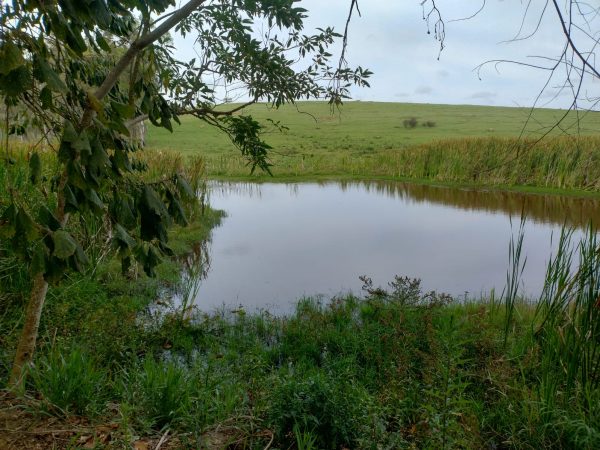 LAGOA VERMELHA