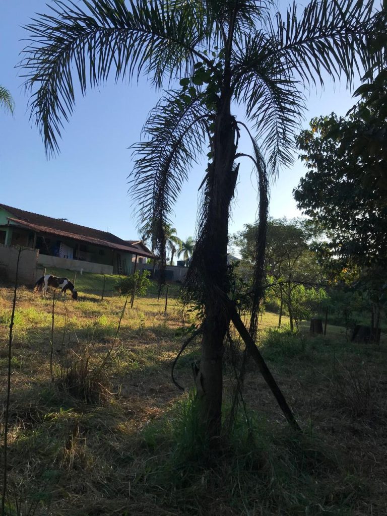 BAIRRO DO TIJUCO PRETO