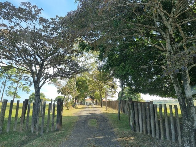 MORRO DO ALTO