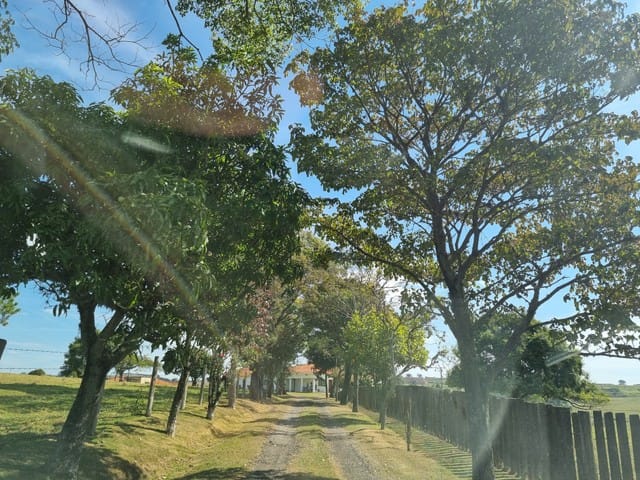 MORRO DO ALTO