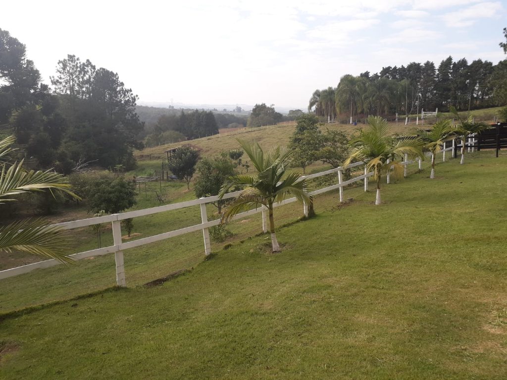 BAIRRO FACÃO BAIRRO FACÃO
