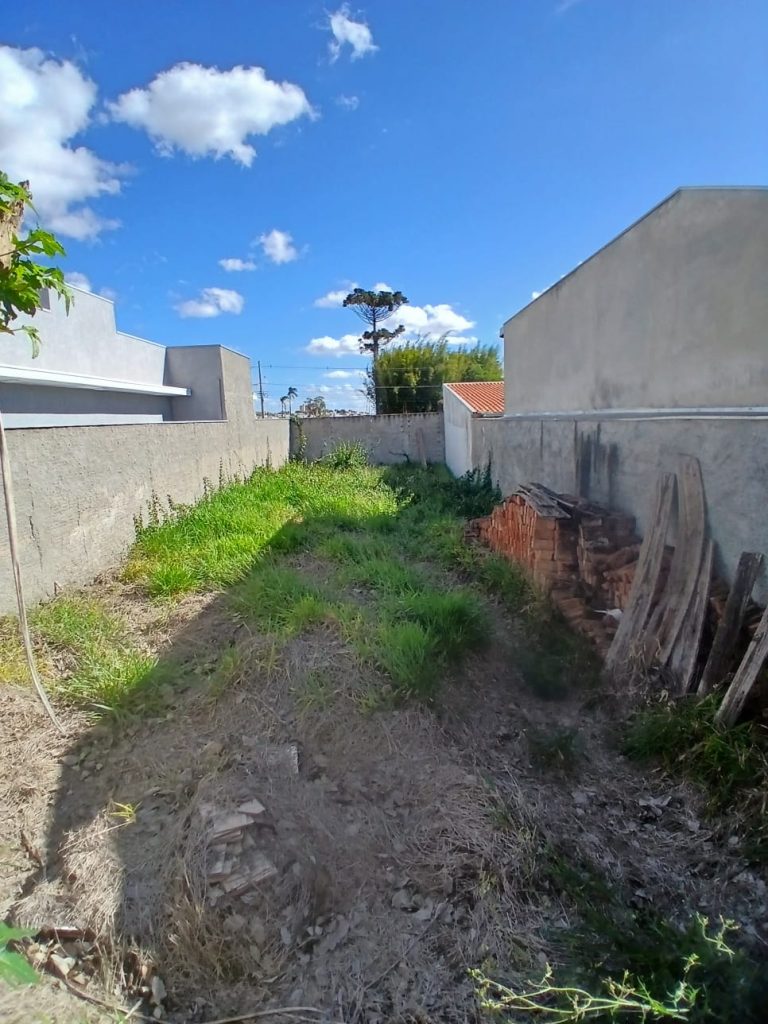 BOSQUE DOS PINHEIROS