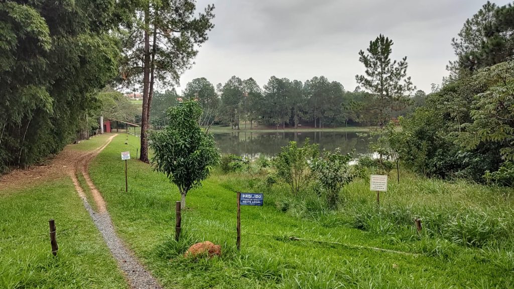 CONDOMÍNIO PINHEIROS DO LAGO/ALAMBARI