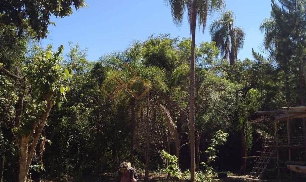 ARAÇATUBA/CAMPINA DO MONTE ALEGRE