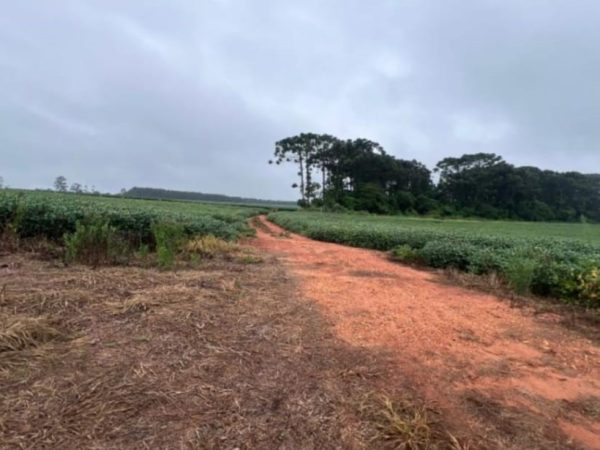 BAIRRO DOS TOMÉ / CAPÃO BONITO