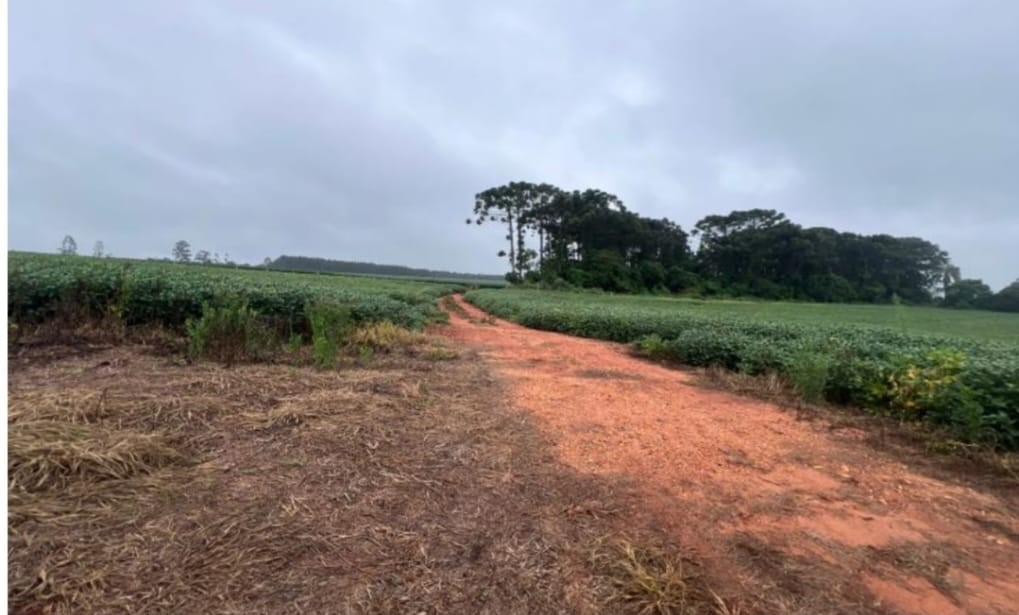 BAIRRO DOS TOMÉ / CAPÃO BONITO