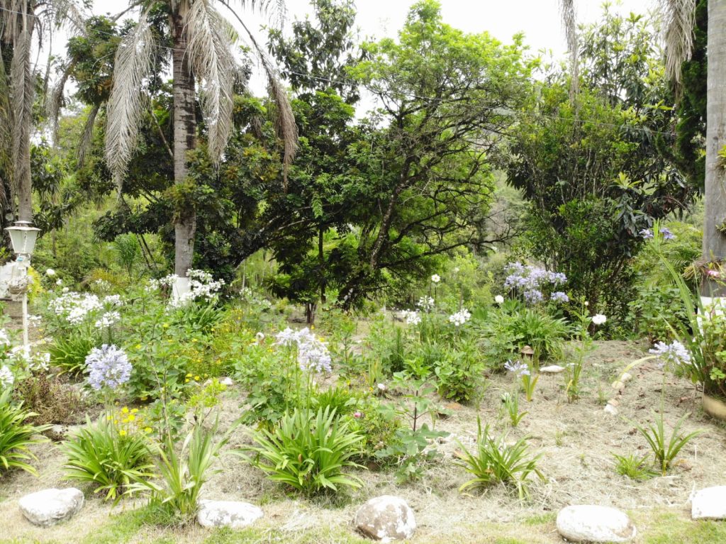 ÁGUA FRIA /GUAPIARA