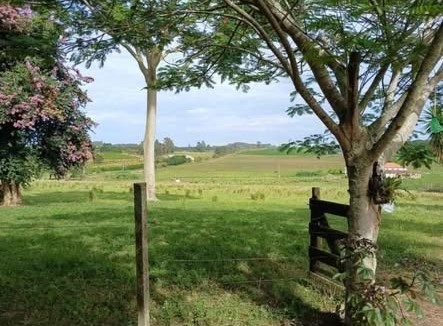 BAIRRO CAMPO DO MEIO