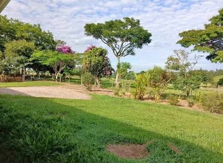 BAIRRO CAMPO DO MEIO