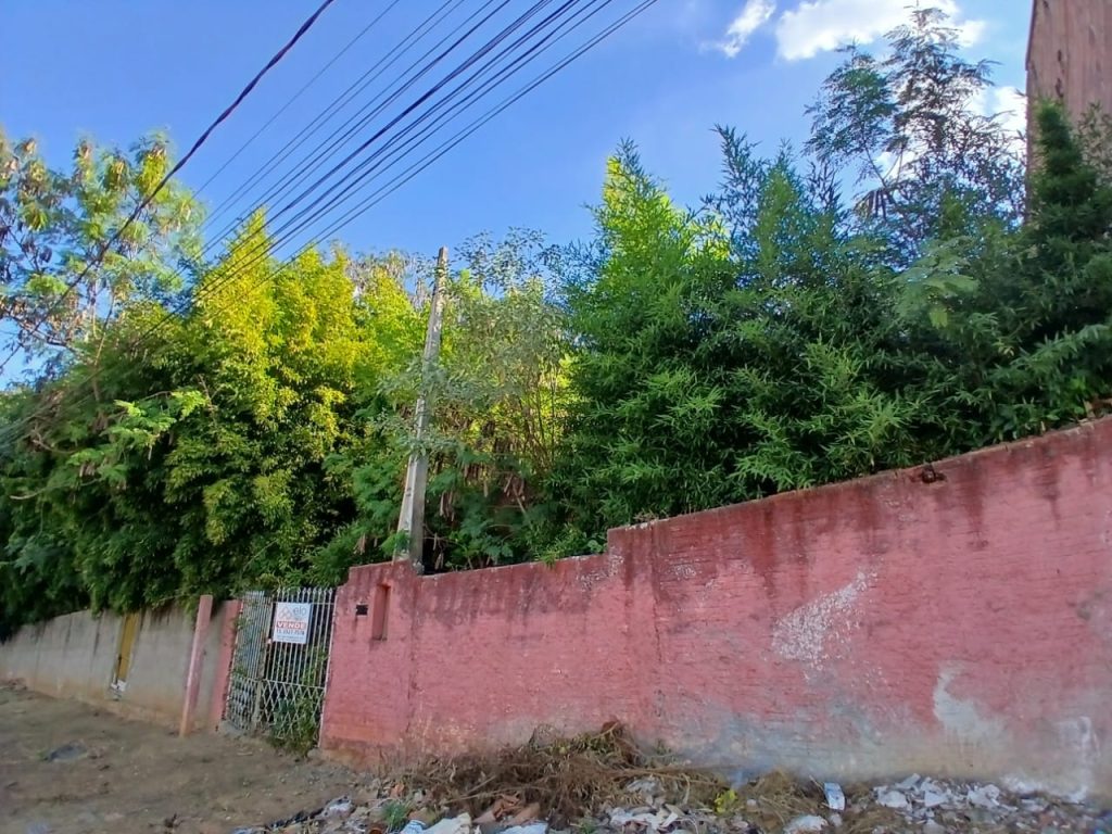 JARDIM MARICOTA