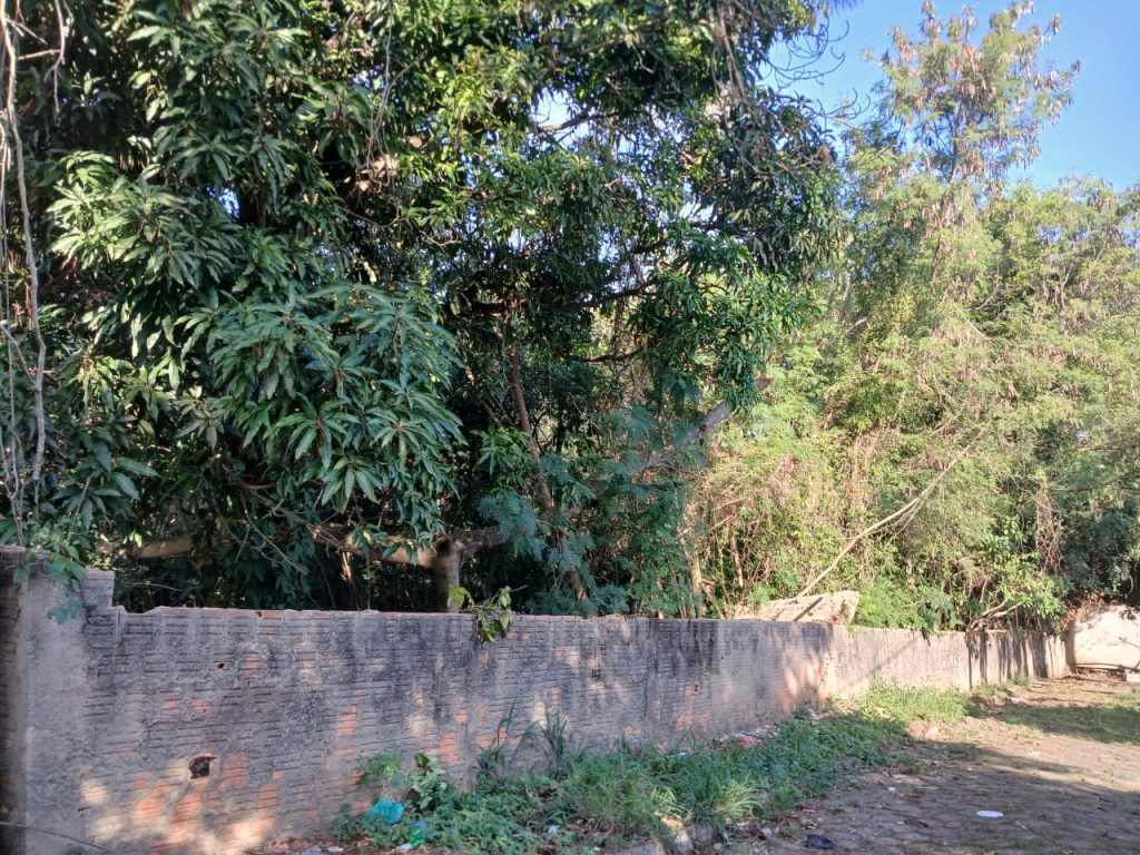JARDIM MARICOTA