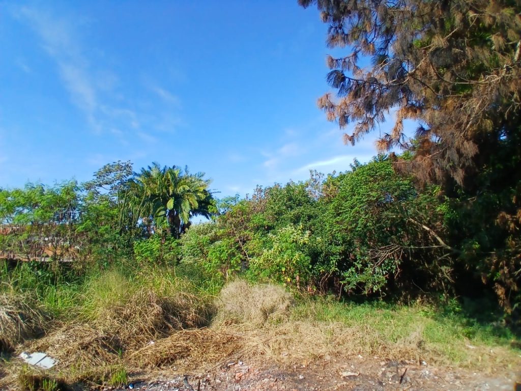 JARDIM MARICOTA