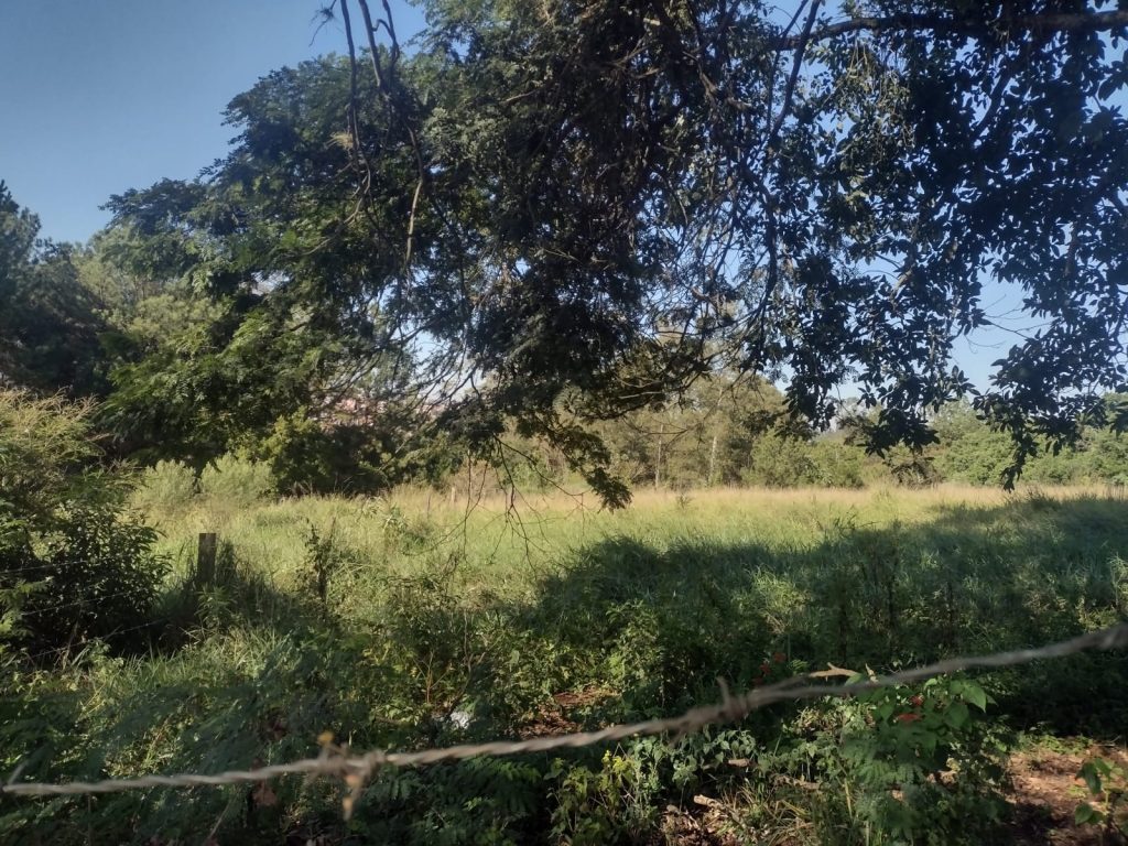 VILA MAZZEI