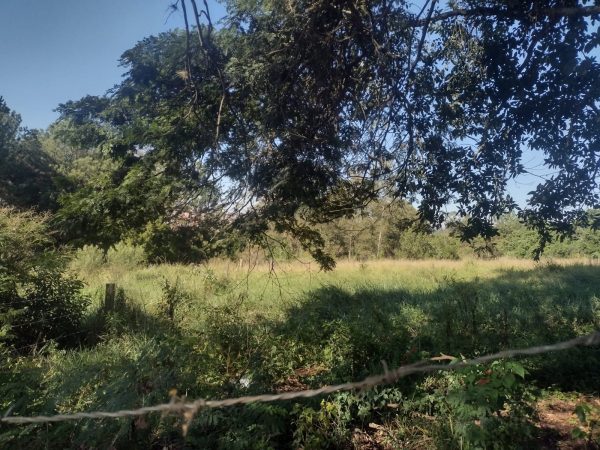 VILA MAZZEI