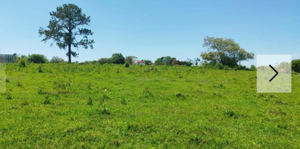 BAIRRO SÃO BENTO / SARAPUÍ
