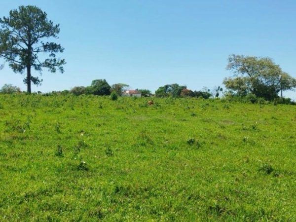 BAIRRO SÃO BENTO / SARAPUÍ