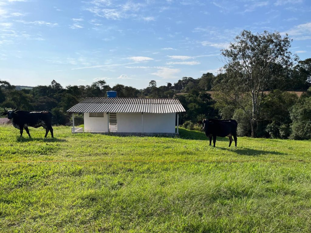 SÍTIO VISTA ALEGRE