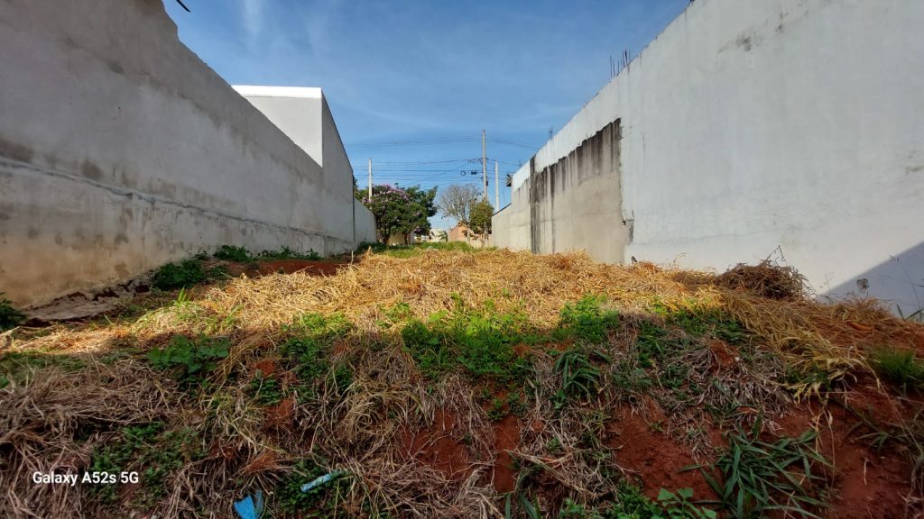 PORTAL DOS PINHEIROS II